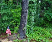 Montgomery Cemetery